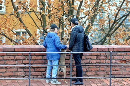 �����m�Ϻ��ӵĈD�����������Ǽ��L��ô��...