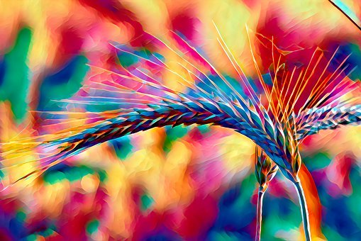 3. 夫妻關(guān)系的示范:父母之間互相謙讓、相...