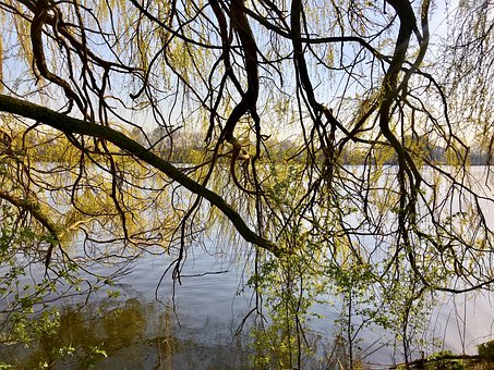 3LӰеļLǱƆ...