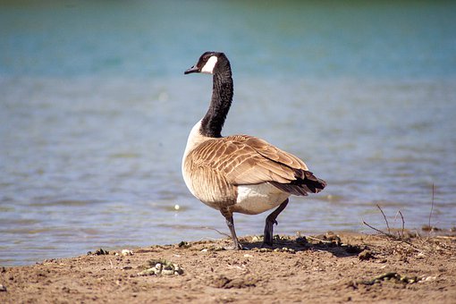 家長教育孩子要遵循十大法則