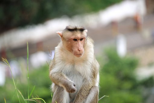 理解并掌握這些細微差別,有助于我們在實際...