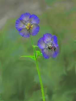 在閱讀教學上,我注意理清文章的脈絡,滲透...