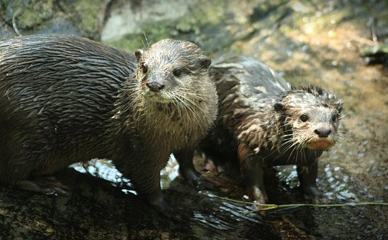 豐富多樣的家庭教育活動