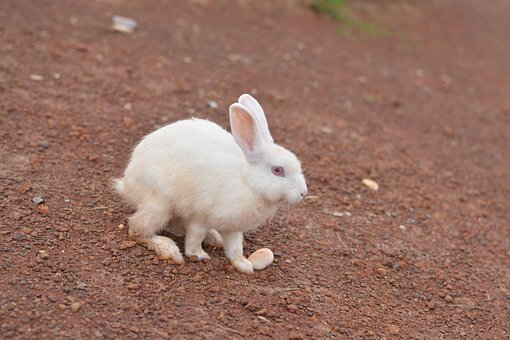 如教師可組織課外讀物分享課,黑板列出活動...