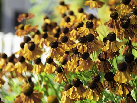 。集團銀鷺事業始創于xx9,在各級領導、社...