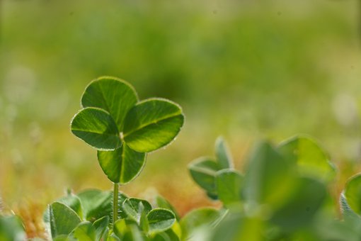 小學(xué)生作業(yè)寫得慢 家長怎么辦