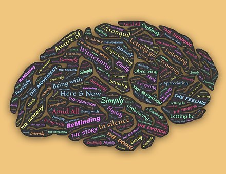 �P(gu��n)�IҪץס���ӵ��dȤ�c������ϲ�g�����ľ�...