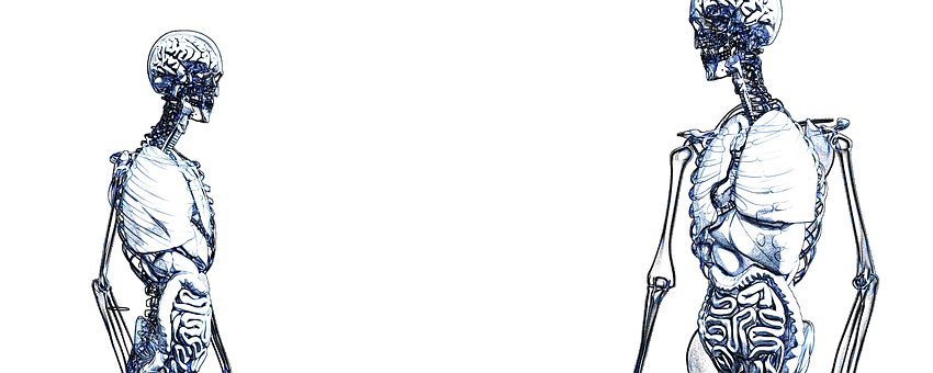 一定要在之上寫出注意了大小寫、單復數之后...