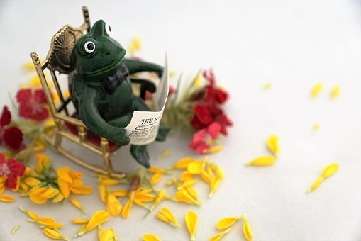 家校共育的目標和重要性