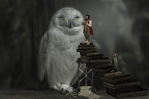 6����(sh��)�W���һ���}�����������õ�һ���ĽY...