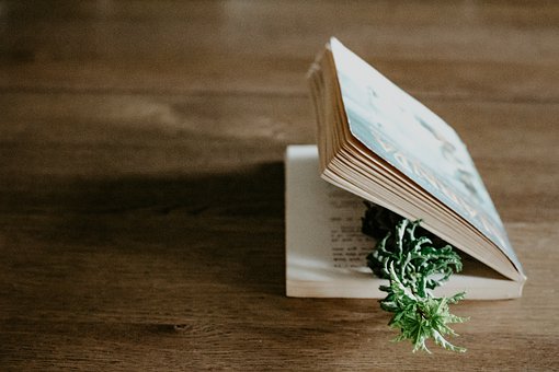 3����(d��ng)�֌�(sh��)�`���⿴�����ɲ���Ŷ���ۂ���׌...