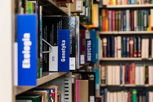 教育的重要性及學習、培訓與教育的區(qū)別