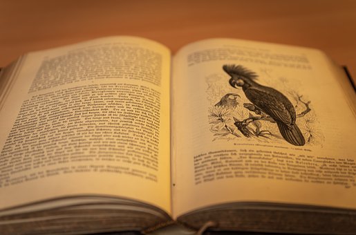 ����Ҫ��ش�a��ATP�Ĉ�����һ�㶼�Ǽ���...