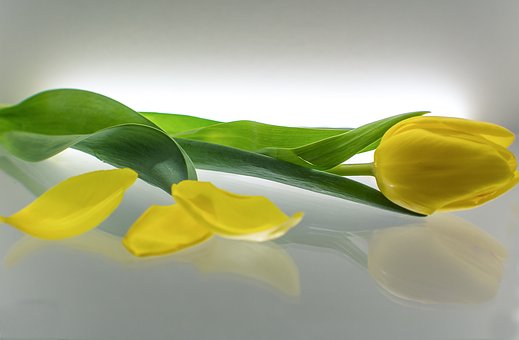孩子上學好動注意力不集中的解決方法