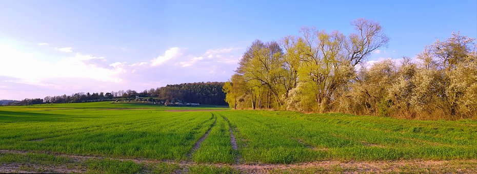2011屆高考生期末考試前的建議