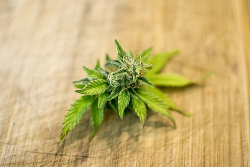 高中如何快速提高成績的方法