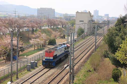培養孩子的抗干擾能力:為他們打造一個專注的學習環境