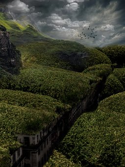 ��q��ͯ������