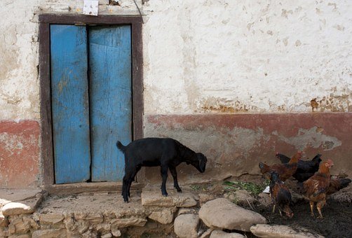 發現孩子有手機應該怎樣去跟他溝通