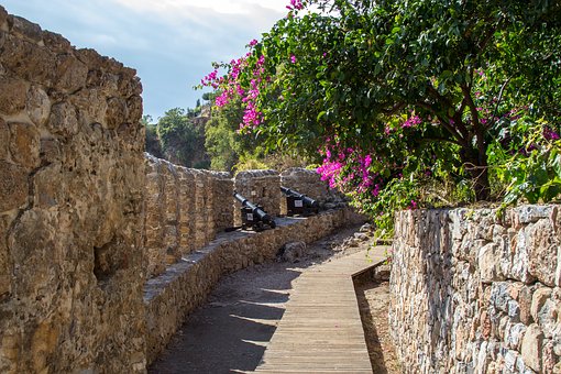 大學生為提早畢業花4300元辦證受騙