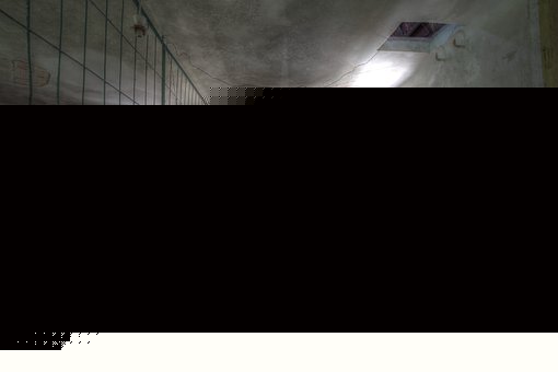 給2010年高考首輪數(shù)學復習的建議