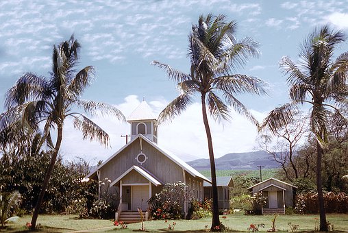 高校招生11種特殊情況 藝術特長生降20分提檔