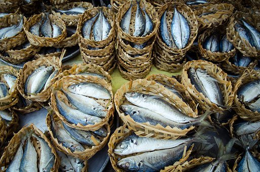 ���꼉(j��)��(sh��)�W(xu��)��(f��)��(x��)Ӌ(j��)��