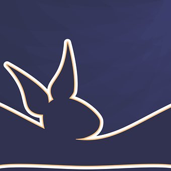 為何美國小孩比中國孩子更愛笑?