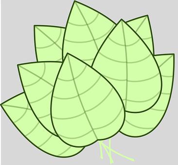 ��Щ���W֪�R֮�g���в�e����ϵ��ǡ����...