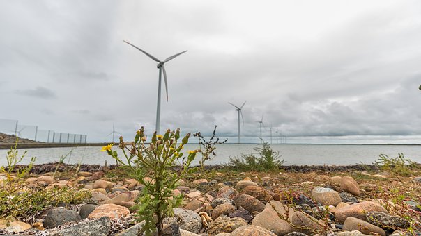 特別注意面向全體,隨時(shí)調(diào)整教學(xué)密度、深度...