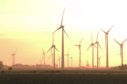 十一、 做事要有始有終。