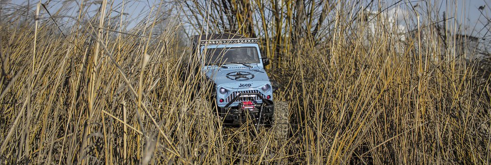 W(xu)r(sh)gźY(li)Դ