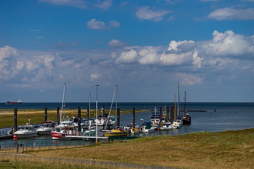 2.3(6月12日)用滅菌后冷卻至50攝示度左右...