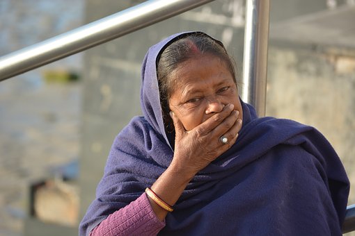 葉綠體:進行光合作用的場所,