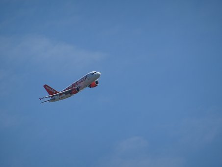 找出可以表達(dá)作者對生死、親情的感悟的句子...