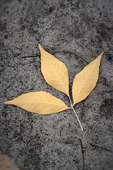 青少年沉迷網絡怎么辦
