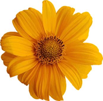 易教網金牌教師推薦:中高考作文常用的好詞好句