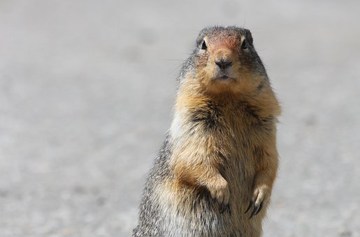 “95后”大學新生即將開學 校園流行網絡迎新