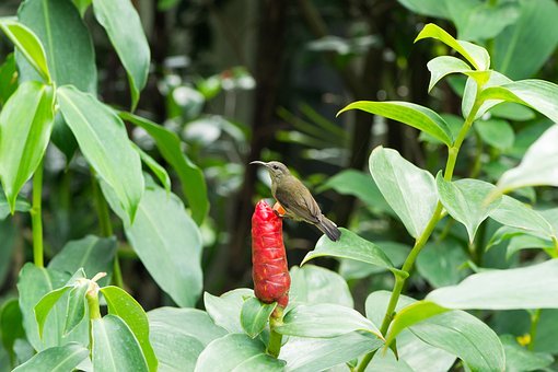 家庭教育父母不該有的五大壞習慣