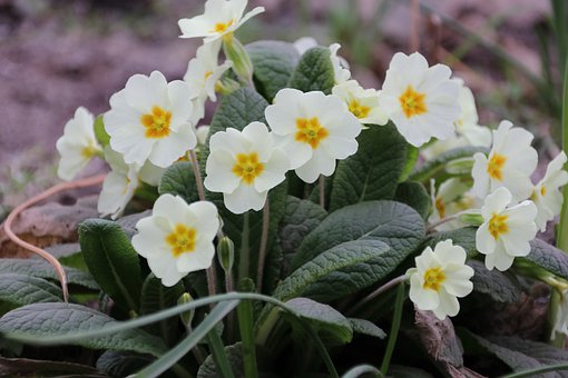 關注后中考時期:復讀人群緣何堅守?