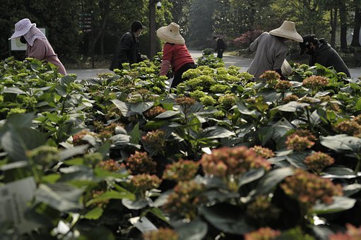 家庭關系與孩子性格塑造