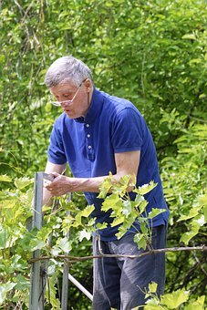 2009高考物理題型預測 專家建議復習各知識點