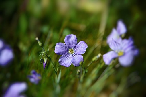 GRE/GMAT/TOEFL������ȫ�򻯵ĺ��x