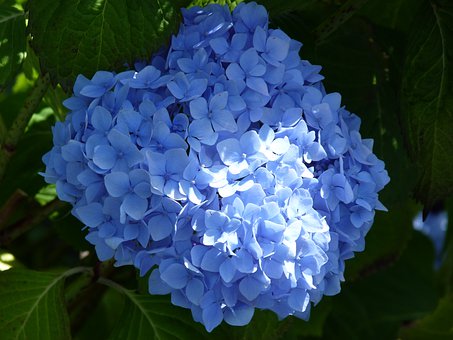 怎樣提高孩子學(xué)英語(yǔ)的興趣?