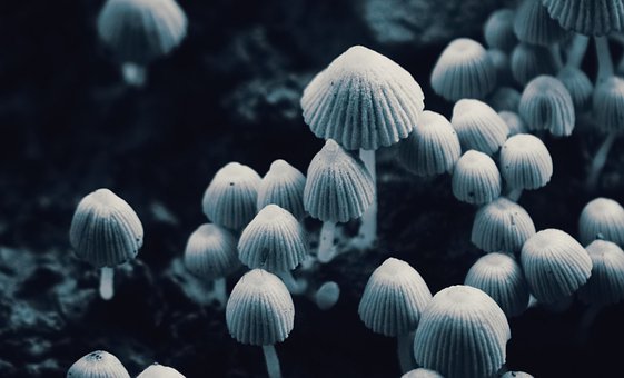 孩子因為手機鬧情緒怎么辦