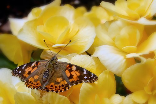 孩子一邊上網(wǎng)課一邊看視頻怎么辦