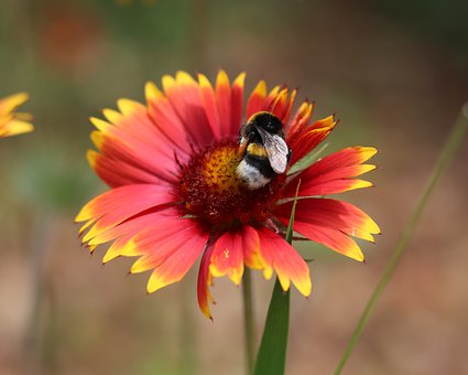 孩子上學(xué)抗拒,怎樣幫TA走出情緒困境?