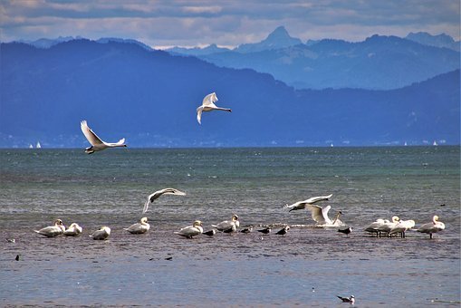 ��ĸ�İ˷N�����ǻ�ָ��