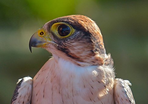 �c����һ���W������ͬ��Q���}��׌���ӏ��Ы@��������