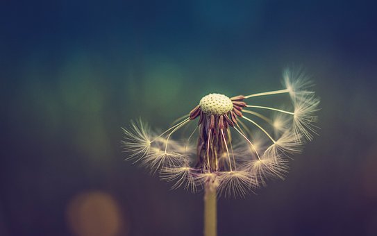 13�q������w��������ô�k